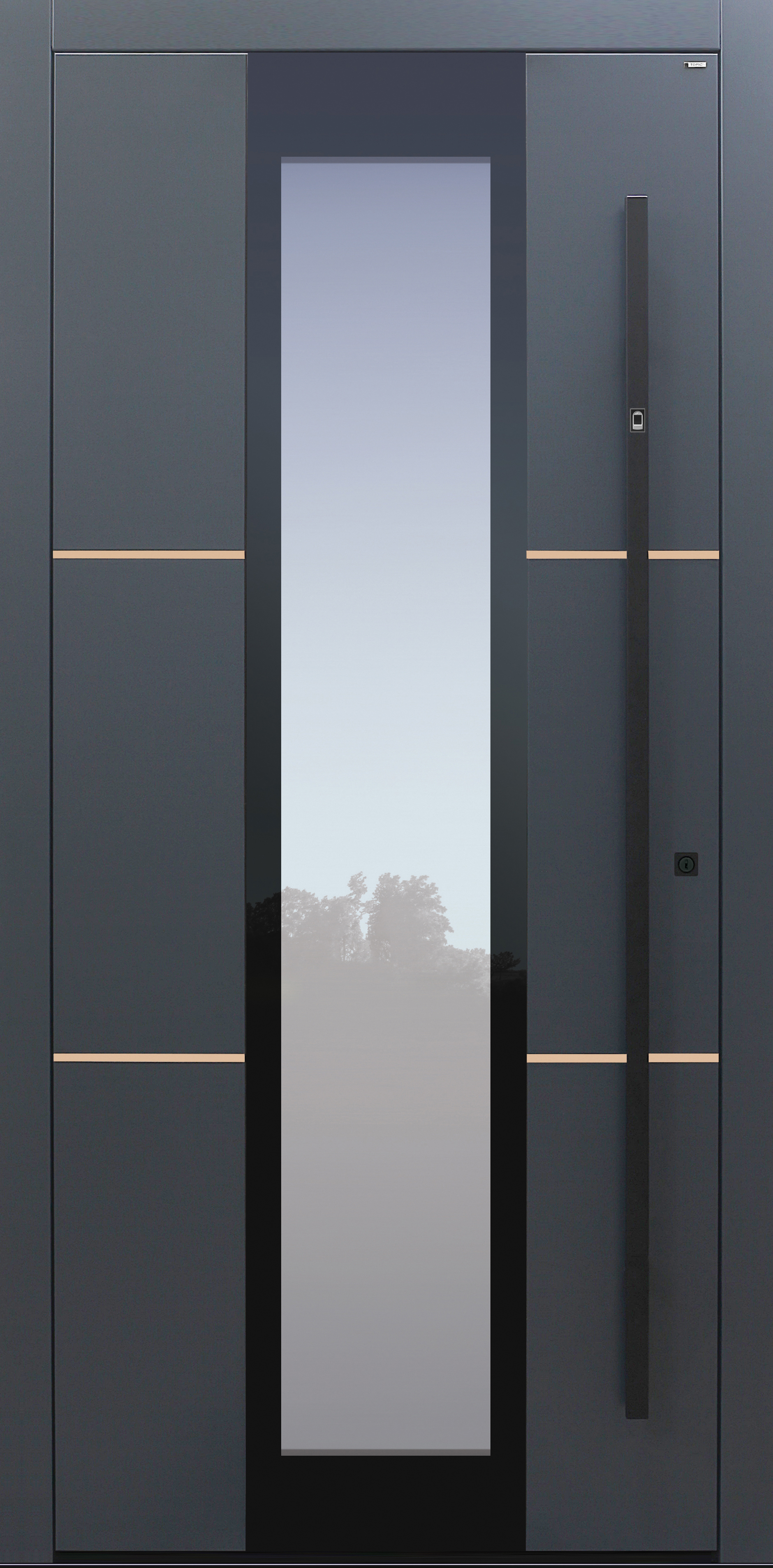 Haustür anthrazit mit Fingerprint mit Option Lisenen Bronze poliert Modell B35-T2 Haustür anthrazit mit Fingerprint mit Option Lisenen Bronze poliert Modell B35-T2
