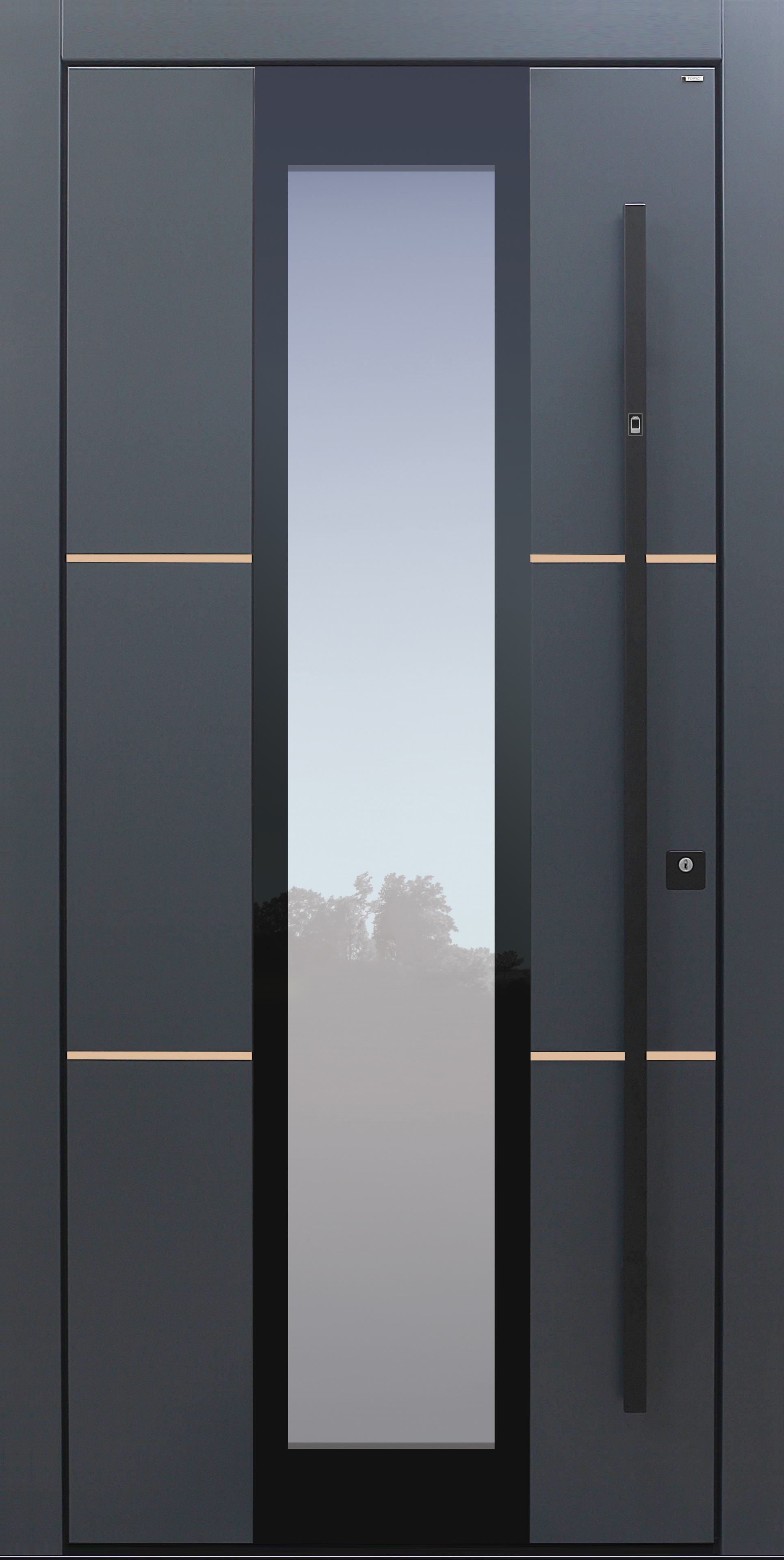 Haustür modern, anthrazit, Dunkelgrau, Lisenen Bronze, Sicherheitstür, passivhaustauglich, besser als Alu, Glas, Fingerprint Haustür modern, anthrazit, Dunkelgrau, Lisenen Bronze, Sicherheitstür, passivhaustauglich, besser als Alu, Glas, Fingerprint