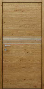 Haustür braun Innenansicht mit 6 Edelstahllisenen Modell B9