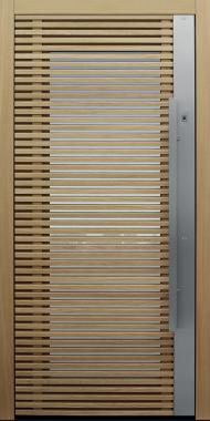 Haustür braun mit Fingerprint Modell Daylight