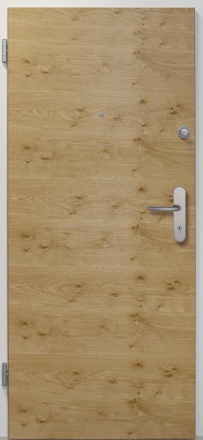 Wohnungstür apartment door Sicherheitstür Renovierungstür www.topic.at